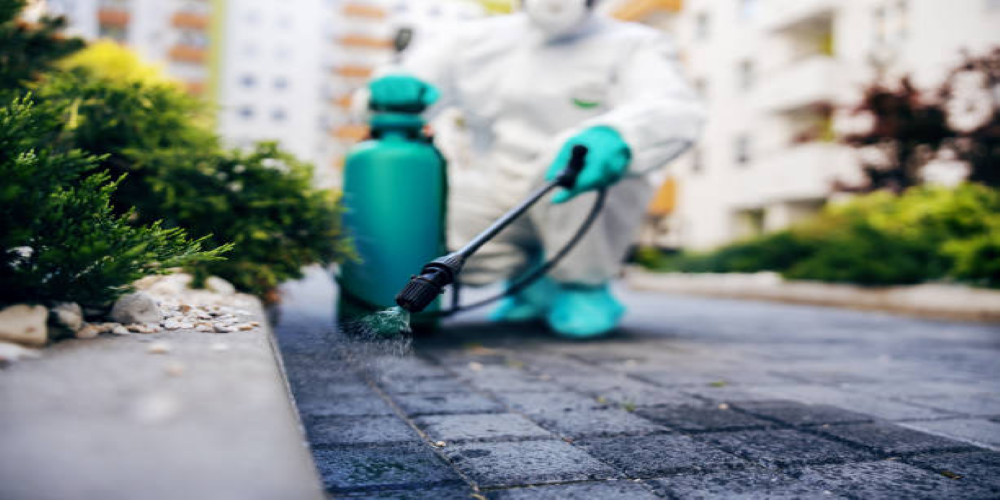 Features To Look Out For When Purchasing Your Domestic Electric Pressure Washer