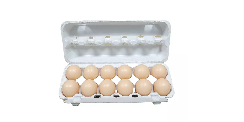 Types of Wholesale Egg Cartons for Your Business